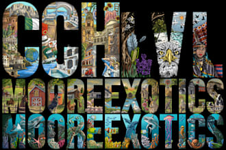 create illustration typography design