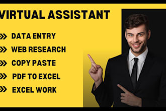 provide efficient data entry and copy paste services