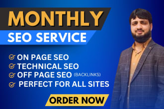 provide monthly SEO service with quality backlinks