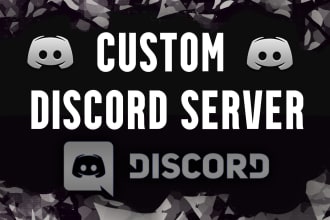 set up a professional custom discord server completely