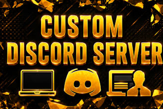 set up a professional custom discord server completely