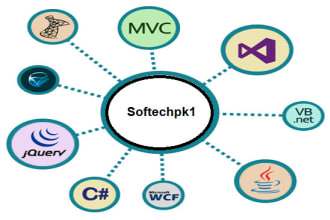 develop custom web app for you in asp dot net mvc
