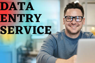 do excel data entry, copypaste, typing,web research