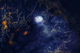 lightroom edit any photo