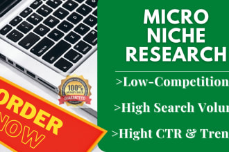 do profitable amazon or adsense micro niche and SEO keyword research