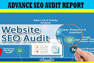 provide a professional SEO audit report and competitive website analysis