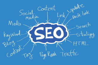 provide a professional SEO audit report with action plan