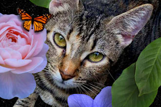 create a collage portrait for you, a loved one or a pet