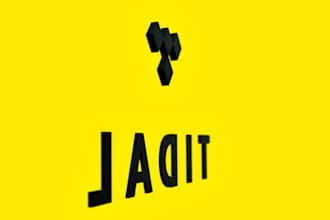 viral and best professional tidal music promotion to real lovers and listener