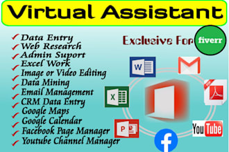 professional virtual assistant and internet researcher