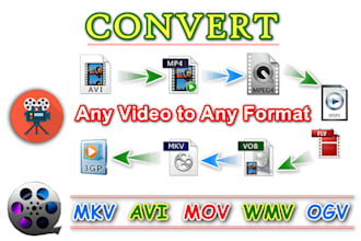 convert any video file to any format mp4, mov, avi, ts etc