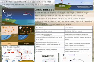 create an infographic poster design in 24 hours