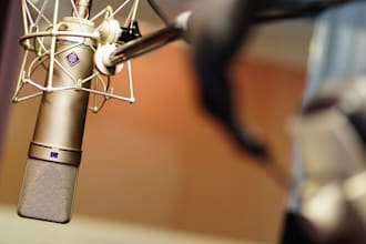 record professional punjabi voice over for your projects
