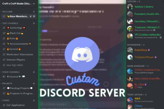 help you create a professional looking discord server