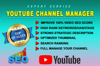 be your youtube channel manager and video SEO expert