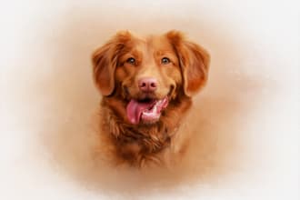 draw custom digital oil painting, watercolor style pet portrait