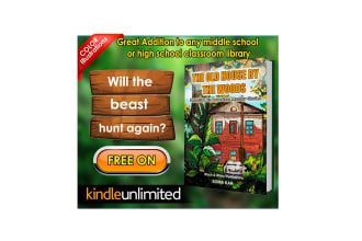 create awesome bookbub ads for the book  promotion campaigns