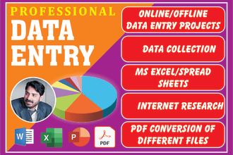 do data entry, excel work, converting PDF to word and excel