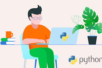 help you with any console python program