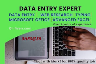 be your expert data entry