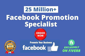 do facebook promotion, fb marketing, and fb ads campaign
