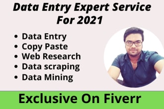 be a data entry operator ,virtual assistant ,data analyst and data scraper
