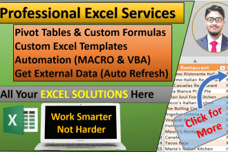 create professional excel templates, do macros, vba, formulas, excel automation