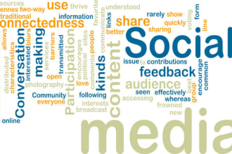 give you successful SEO Action plan with only