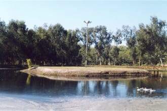 write reports on waste management and environment