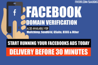 facebook google domain verification meta tag