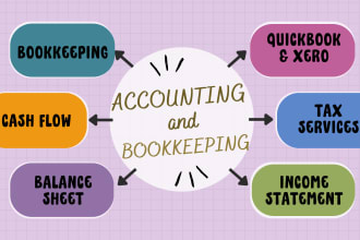 do professional accounting and bookkeeping for your business