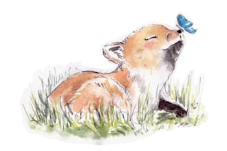 paint cute animals flowers landscapes in watercolor