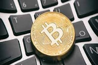 be your crypto content writer, crypto writer