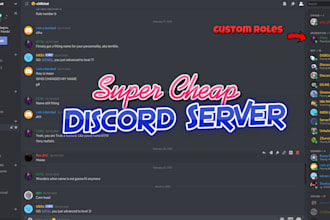 make you a custom discord server