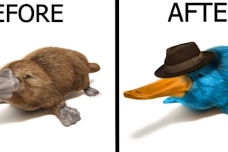 photoshop or edit your image