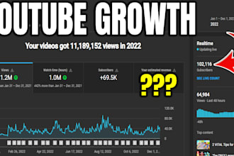 be your youtube coach and consultant