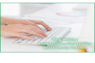 write SEO friendly plagiarism free web content