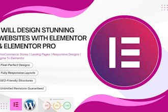 be your expert for the elementor wordpress website