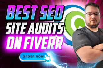 do a SEO website audit and be your consultant