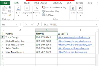 enter website or pdf data into excel
