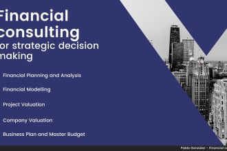 provide financial analysis for strategic decision making