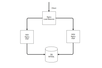 setup and configure nginx