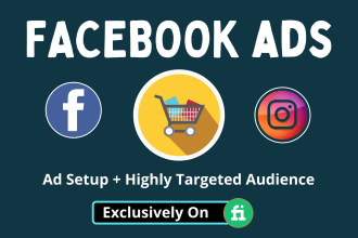 be your facebook ads campaign manager and setup fb ads