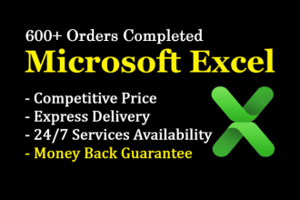 create fully automatic accounting software in excell