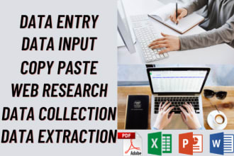 do data input, data collection and data entry copy paste job