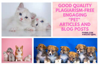 write SEO ranked articles and blog posts on pet niche