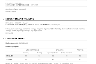 make you professional europass CV  for your dream jobs and scholarships