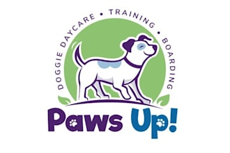 design outstanding dog daycare logo with express delivery