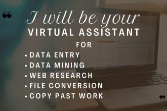be your professional data miner and VA for data entry