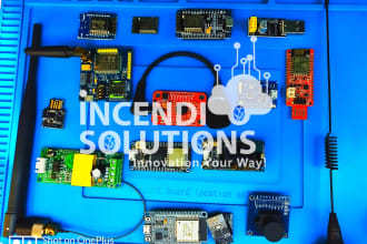 iot nb iot ble lorawan programming and system design